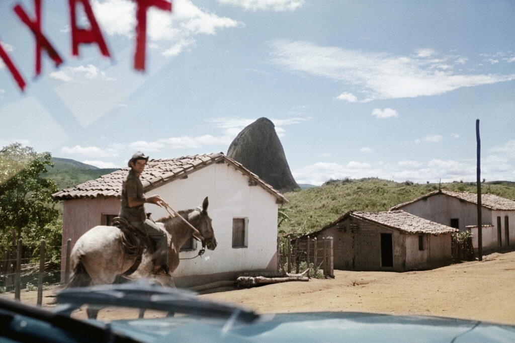 Pinacoteca do ceará abre duas novas exposições com imagens que convidam o público a mergulhar em um brasil político e diverso